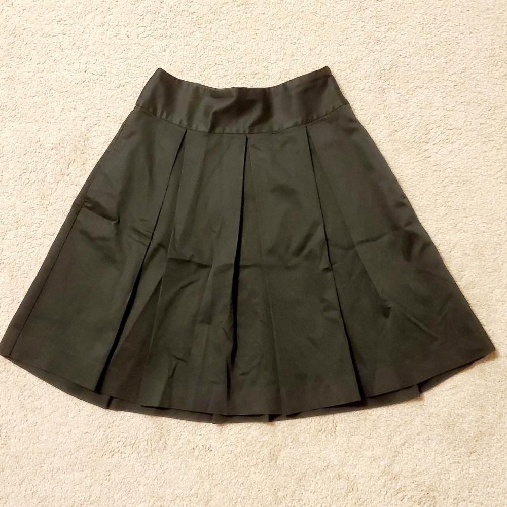 Express skirt